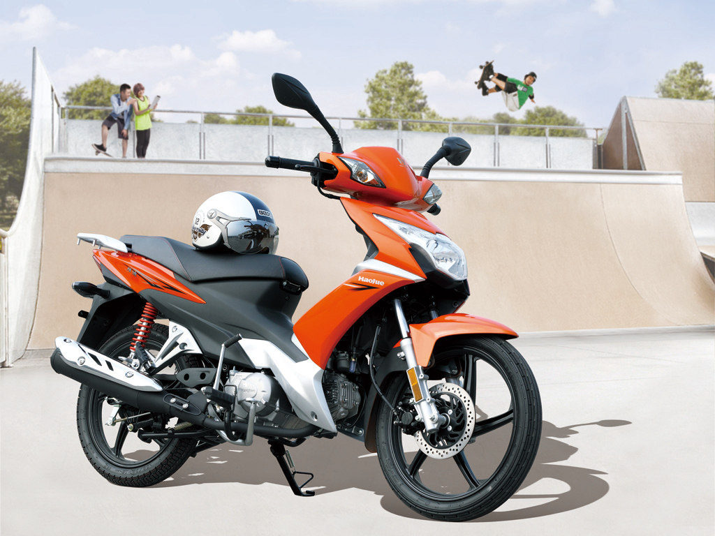 豪爵 炫迪 hj110-3