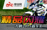 精品闪耀:力帆2015新车汇