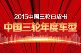 2015中国三轮年度车型