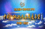 中国新能源汽车年度车型
