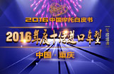 2016年度十佳进口车型