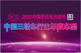2017中国三轮车行业年度车型