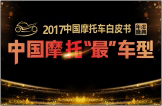 2017中国摩托“最”车型
