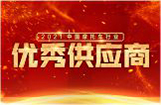 2021中国摩托车行业优秀供应商