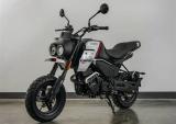 春风Papio XO-2即将到来？